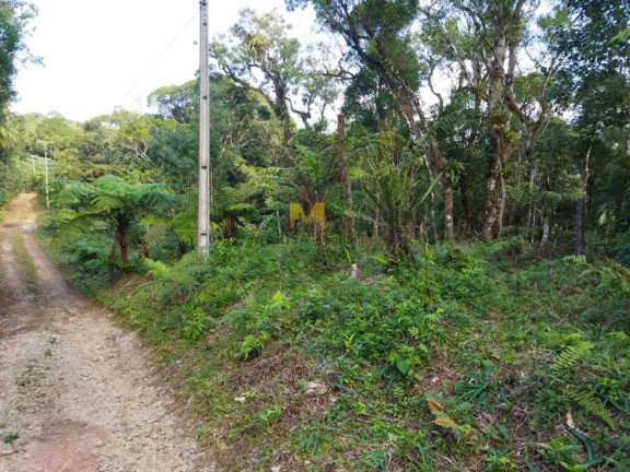 Imagem Chácara à Venda, em Recreio Da Serra - Piraquara Imagem Chácara à Venda, em Recreio Da Serra - Piraquara