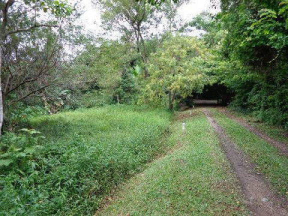 Imagem Terreno à Venda, em Lagoa Da Conceição - Florianópolis Imagem Terreno à Venda, em Lagoa Da Conceição - Florianópolis