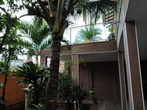 Imagem Imóvel com 3 Quartos à Venda, 25 m² em Campo Grande - Rio De Janeiro