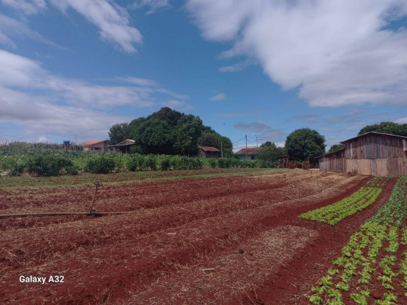 Imagem Chácara com 3 Quartos à Venda, 42.000 m² em Arapongas Imagem Chácara com 3 Quartos à Venda, 42.000 m² em Arapongas