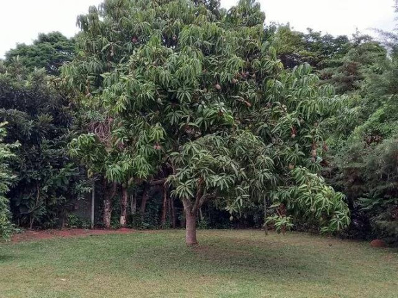 Imagem Chácara com 4 Quartos à Venda, 5.664 m² em Portal São Marcelo - Bragança Paulista Imagem Chácara com 4 Quartos à Venda, 5.664 m² em Portal São Marcelo - Bragança Paulista