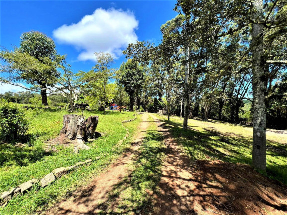Imagem Chácara à Venda, 1 m² em Fiuza - Viamão Imagem Chácara à Venda, 1 m² em Fiuza - Viamão