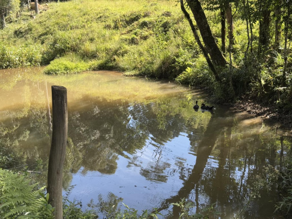 Imagem Imóvel com 5 Quartos à Venda, 18.150 m² em Lagoa Dos Ferreiras - Mandirituba