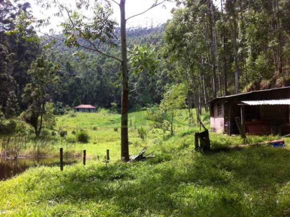 Imagem Fazenda à Venda, 1.161.600 m² em Piracaia - Piracaia