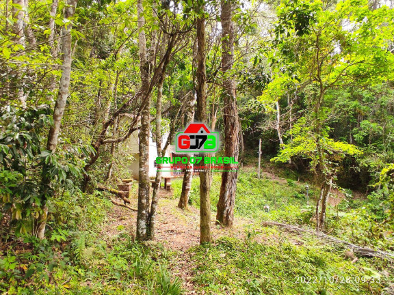 Imagem Chácara à Venda, 16.000 m² em Canaã - Jambeiro Imagem Chácara à Venda, 16.000 m² em Canaã - Jambeiro