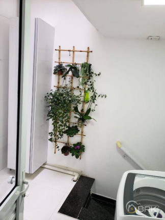 Imagem Sobrado com 3 Quartos à Venda, 110 m² em Vila Matilde - São Paulo Imagem Sobrado com 3 Quartos à Venda, 110 m² em Vila Matilde - São Paulo