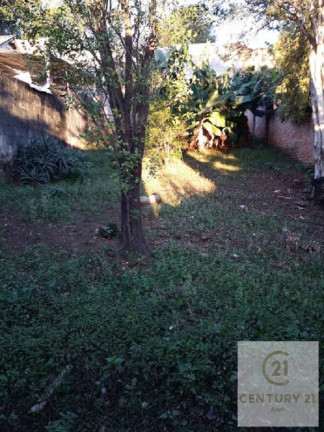 Imagem Casa com 3 Quartos à Venda, 184 m² em Vila Pompéia - São Paulo