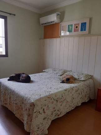 Imagem Apartamento com 3 Quartos à Venda, 150 m² em Cambuí  - Campinas