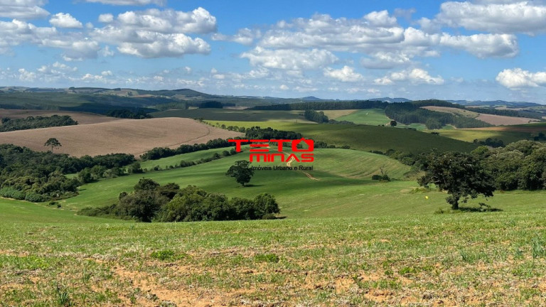 Imagem Imóvel à Venda, em Zona Rural De Zona Rural De Ipuiuna - São Lourenço Imagem Imóvel à Venda, em Zona Rural De Zona Rural De Ipuiuna - São Lourenço
