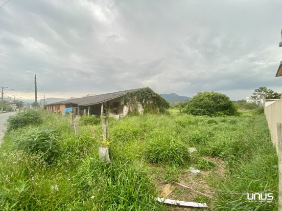 Imagem Terreno à Venda, 5.435 m² em Sertão Do Maruim - São José Imagem Terreno à Venda, 5.435 m² em Sertão Do Maruim - São José
