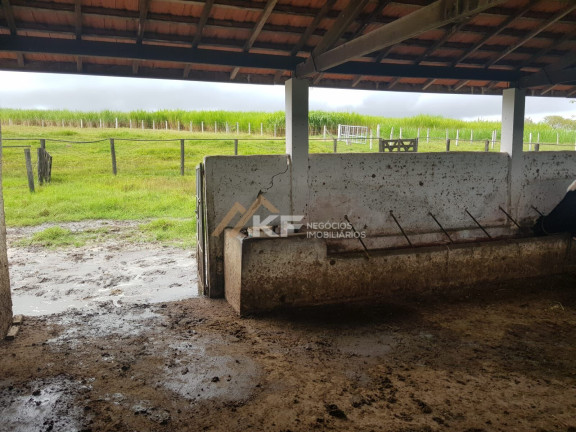 Imagem Imóvel com 2 Quartos à Venda, 800.000 m² em Zona Rural - Cajuru Imagem Imóvel com 2 Quartos à Venda, 800.000 m² em Zona Rural - Cajuru