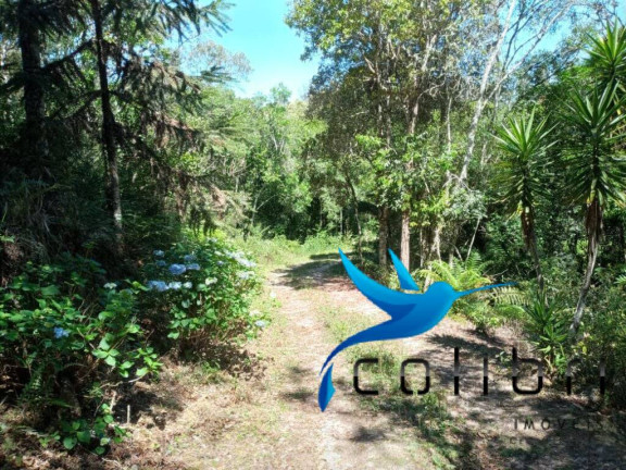 Imagem Chácara com 2 Quartos à Venda, 31.550 m² em Papanduva - Agudos Do Sul Imagem Chácara com 2 Quartos à Venda, 31.550 m² em Papanduva - Agudos Do Sul