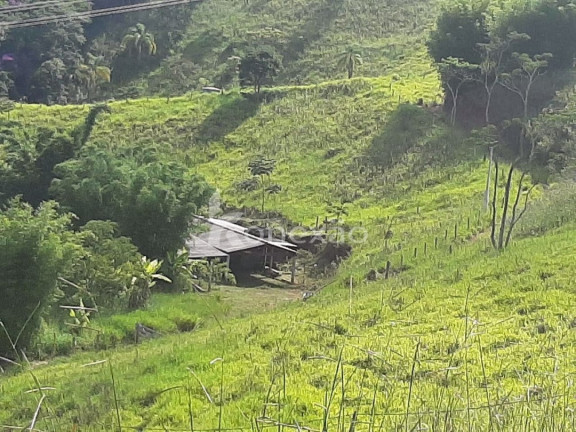 Foto do imóvel Chácara com 3 Quartos à Venda, 300 m² em Centro - Taubaté