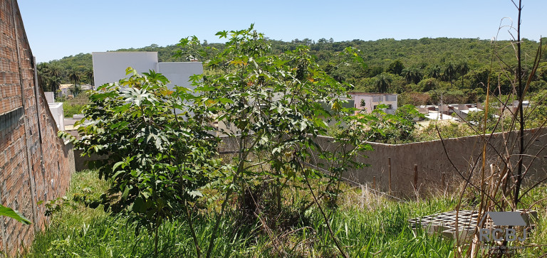 Imagem Terreno à Venda, 360 m² em Floresta Encantada - Esmeraldas