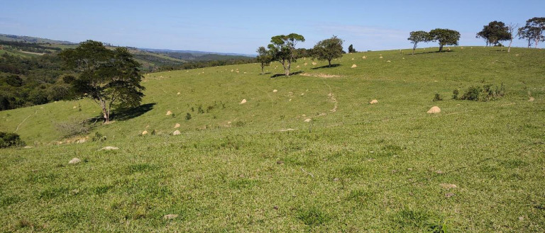Imagem Fazenda à Venda, 1.016 m² em Bairro Dos Leites - Piedade Imagem Fazenda à Venda, 1.016 m² em Bairro Dos Leites - Piedade