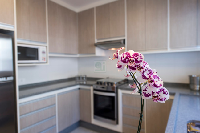Imagem Casa com 2 Quartos à Venda, 67 m² em Jardim Maria Tereza - Cotia