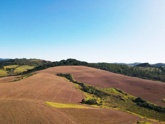 Imagem Fazenda à Venda, 895.000 m² em Centro - Andradas