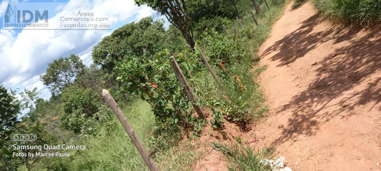 Imagem Chácara à Venda, 49.500.000 m² em Centro - Buritizeiro Imagem Chácara à Venda, 49.500.000 m² em Centro - Buritizeiro