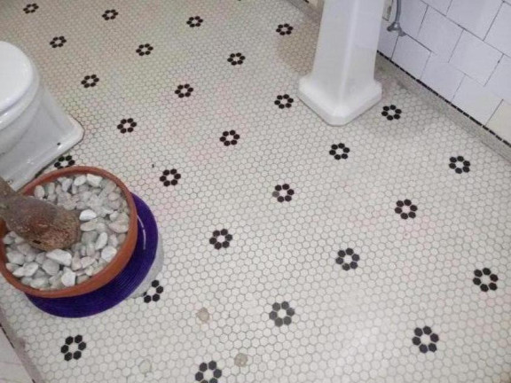 Imagem Apartamento com 1 Quarto à Venda, 75 m² em Bela Vista - São Paulo