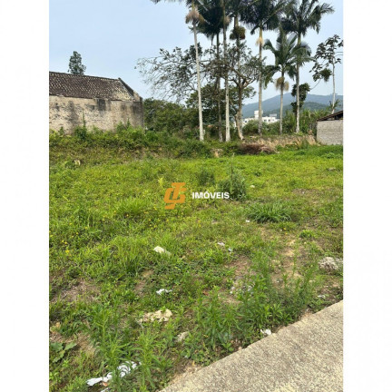 Imagem Terreno à Venda, 311 m² em Santa Regina - Camboriú Imagem Terreno à Venda, 311 m² em Santa Regina - Camboriú