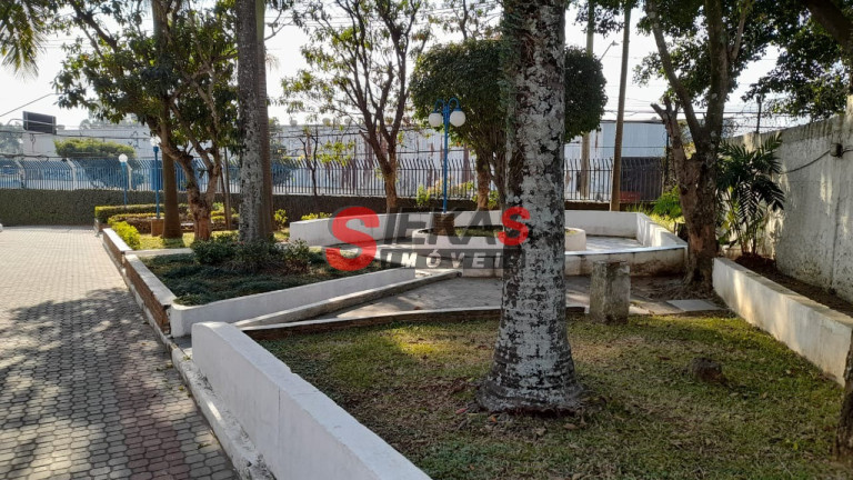 Imagem Apartamento com 2 Quartos à Venda, 56 m² em Cangaíba - São Paulo Imagem Apartamento com 2 Quartos à Venda, 56 m² em Cangaíba - São Paulo