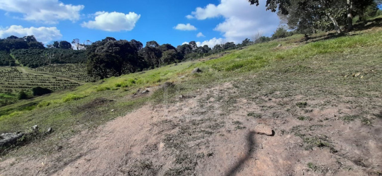 Imagem Imóvel à Venda, 3 m² em Milho Verde - Bandeira Do Sul