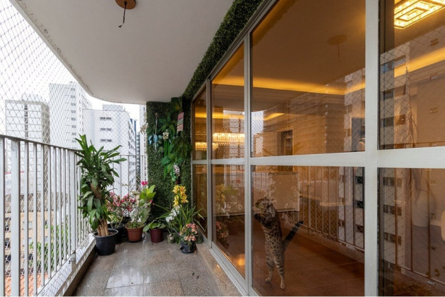 Imagem Apartamento com 4 Quartos à Venda, 187 m² em Paraíso - São Paulo Imagem Apartamento com 4 Quartos à Venda, 187 m² em Paraíso - São Paulo