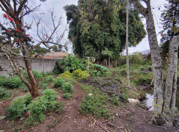 Imagem Imóvel à Venda, 5.634 m² em Terra Preta - Mairiporã Imagem Imóvel à Venda, 5.634 m² em Terra Preta - Mairiporã