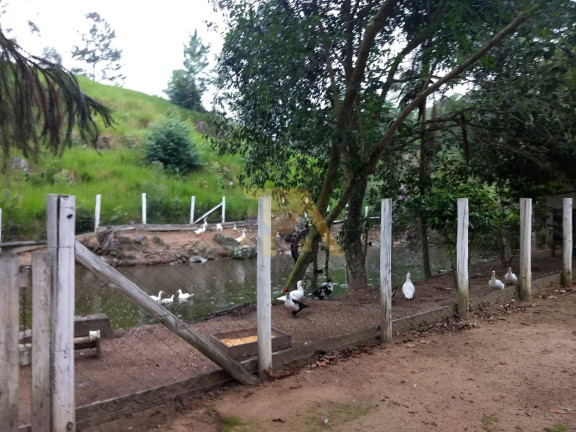 Imagem Fazenda à Venda, 174 m² em Aratingauba - Imaruí Imagem Fazenda à Venda, 174 m² em Aratingauba - Imaruí