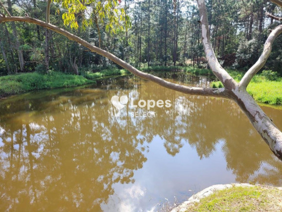 Imagem Imóvel com 10 Quartos à Venda, 1.900 m² em Alto Da Serra (mailasqui) - São Roque Imagem Imóvel com 10 Quartos à Venda, 1.900 m² em Alto Da Serra (mailasqui) - São Roque