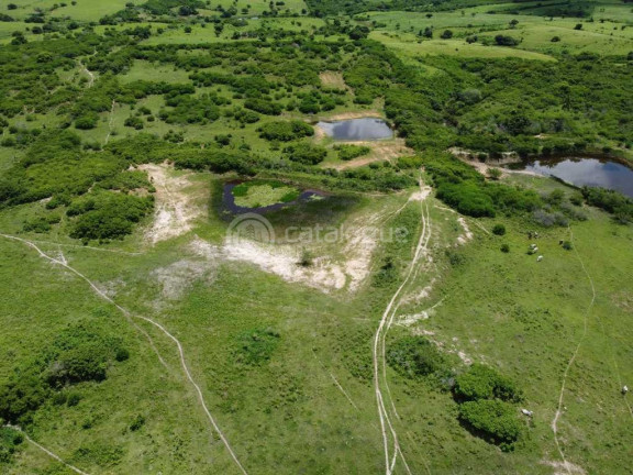 Imagem Fazenda à Venda, 300.000 m² em Lagoa Do Mato - Monte Alegre Imagem Fazenda à Venda, 300.000 m² em Lagoa Do Mato - Monte Alegre
