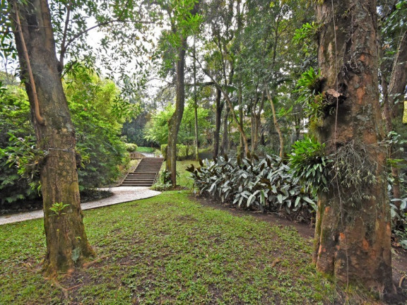 Imagem Casa com 6 Quartos à Venda, 976 m² em Cidade Jardim - São Paulo Imagem Casa com 6 Quartos à Venda, 976 m² em Cidade Jardim - São Paulo