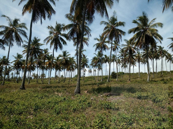 Imagem Terreno à Venda, 140 m² em São Cristóvão - Salvador Imagem Terreno à Venda, 140 m² em São Cristóvão - Salvador