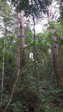 Imagem Imóvel à Venda, 28.000 m² em Campestre Do Menino Deus - Santa Maria Imagem Imóvel à Venda, 28.000 m² em Campestre Do Menino Deus - Santa Maria
