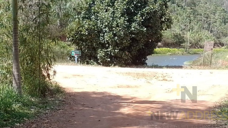 Imagem Imóvel com 1 Quarto à Venda, 20.000 m² em Marechal Floriano - Marechal Floriano