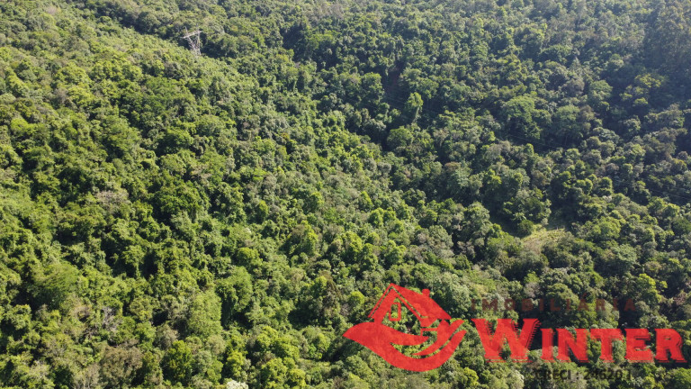 Imagem Chácara à Venda, 107.448 m² em Canto Chuchu - Linha Nova Imagem Chácara à Venda, 107.448 m² em Canto Chuchu - Linha Nova