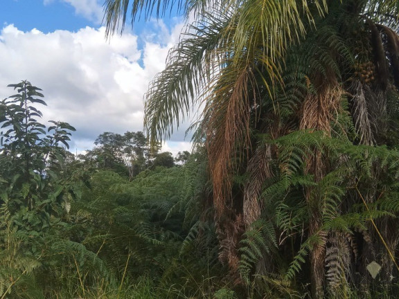 Imagem Imóvel à Venda, 20.000 m² em Roças Novas (caeté - Mg) - Caeté Imagem Imóvel à Venda, 20.000 m² em Roças Novas (caeté - Mg) - Caeté