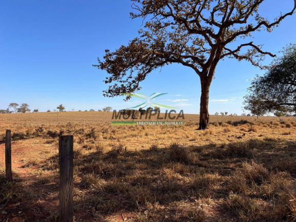 Fazenda à Venda, 469 m² em União De Minas
