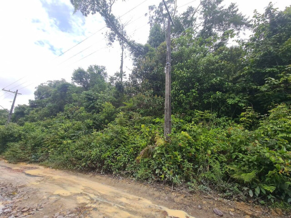 Imagem Terreno à Venda, 100 m² em Tarumã-açu - Manaus Imagem Terreno à Venda, 100 m² em Tarumã-açu - Manaus