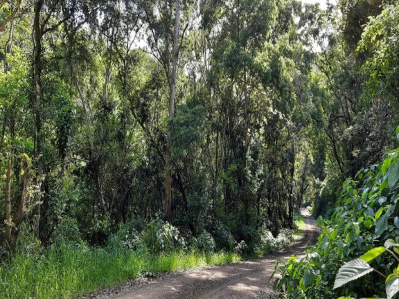 Imagem Terreno à Venda, 3 m² em São Jaco - Nova Petrópolis Imagem Terreno à Venda, 3 m² em São Jaco - Nova Petrópolis