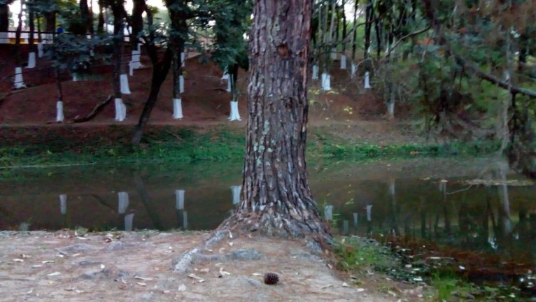 Imagem Chácara com 3 Quartos à Venda, 26.000 m² em Curitibanos - Bragança Paulista Imagem Chácara com 3 Quartos à Venda, 26.000 m² em Curitibanos - Bragança Paulista