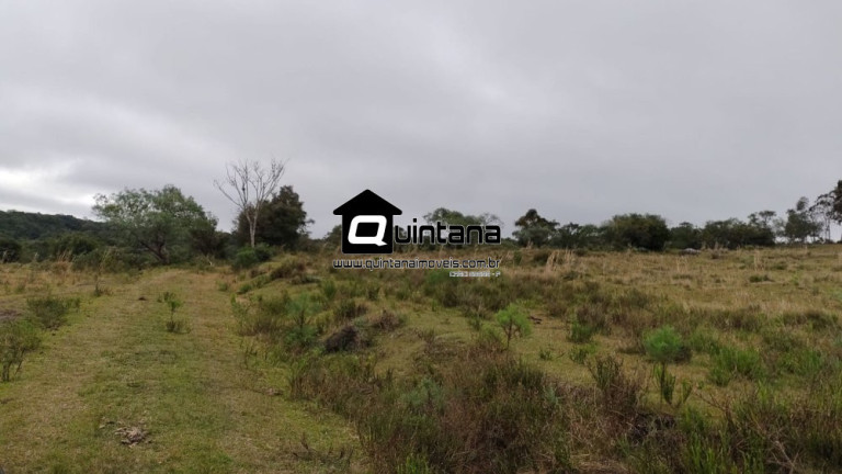 Imagem Imóvel com 3 Quartos à Venda, 2.600.000 m² em 1º Distrito - Canguçu