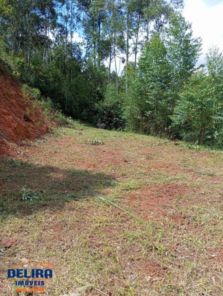 Imagem Chácara com 2 Quartos à Venda, 1 m² em Ribeirão Acima - Nazaré Paulista