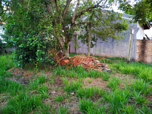 Imagem Terreno à Venda, 629 m² em Centro - Pindamonhangaba Imagem Terreno à Venda, 629 m² em Centro - Pindamonhangaba