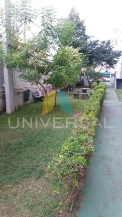 Imagem Apartamento com 3 Quartos à Venda, 51 m² em Jardim Casa Pintada - São Paulo Imagem Apartamento com 3 Quartos à Venda, 51 m² em Jardim Casa Pintada - São Paulo