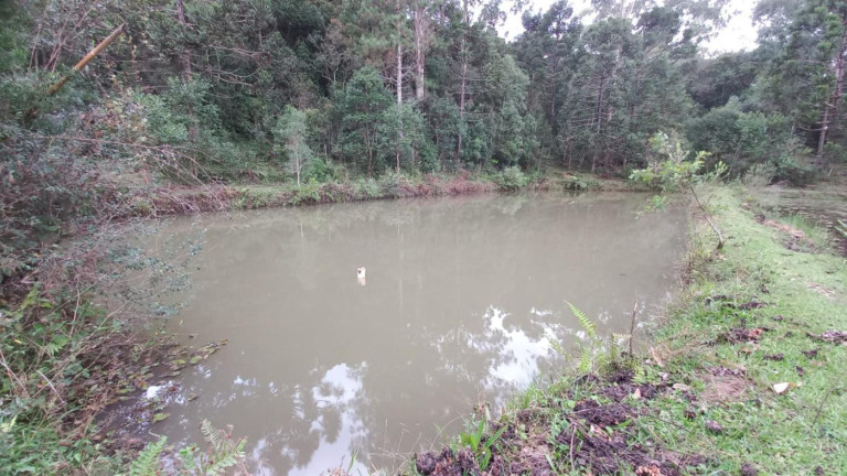 Imagem Imóvel com 3 Quartos à Venda, 11 m² em Olaria - Bocaiúva Do Sul