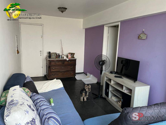 Imagem Apartamento com 3 Quartos à Venda, 100 m² em Tucuruvi - São Paulo Imagem Apartamento com 3 Quartos à Venda, 100 m² em Tucuruvi - São Paulo