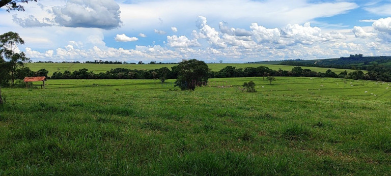 Imagem Imóvel com 7 Quartos à Venda, 1.297.120 m² em Vila Bom Jesus - Sorocaba Imagem Imóvel com 7 Quartos à Venda, 1.297.120 m² em Vila Bom Jesus - Sorocaba