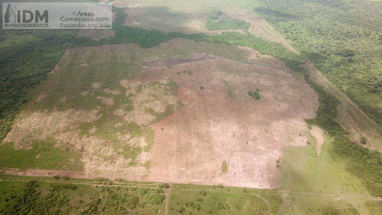 Imagem Chácara com 5 Quartos à Venda, 4.236 m² em Santa Terezinha