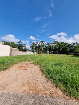 Imagem Terreno à Venda, 704 m² em Tifa Martins - Jaraguá Do Sul Imagem Terreno à Venda, 704 m² em Tifa Martins - Jaraguá Do Sul